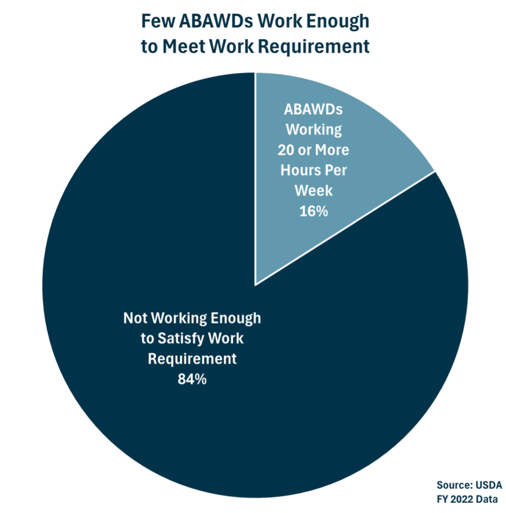 Few ABAWDs Work Enough To Meet Work Requirement Graph