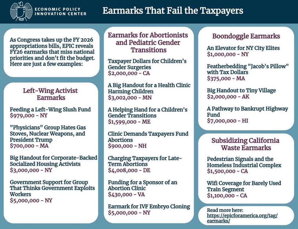 Earmarks Handout 10 30