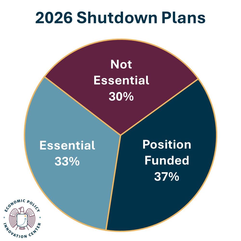 Employee Designations Pie Chart 10.9.2025