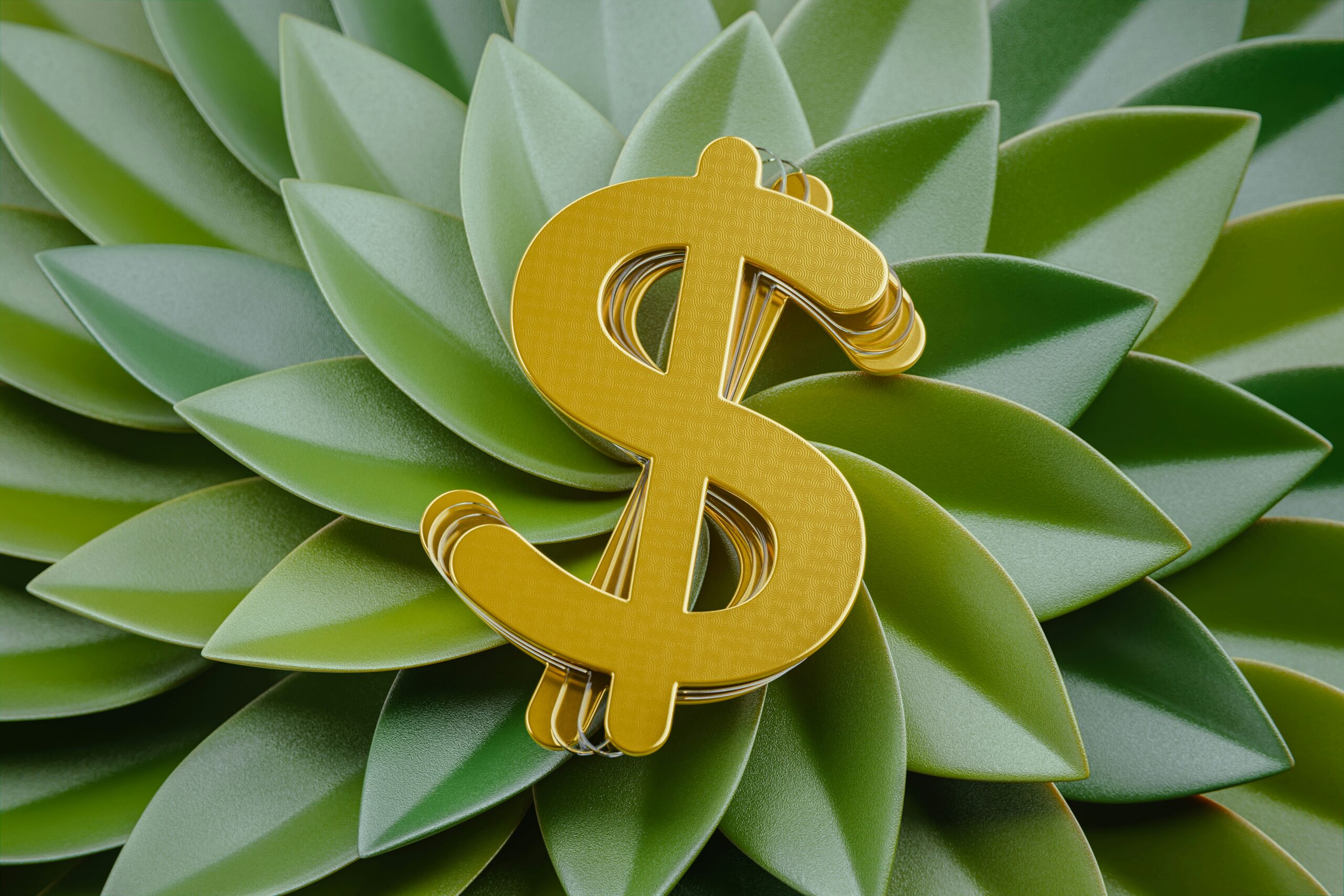 Alex Shuper JrUR Ra9bsM Unsplash (1)