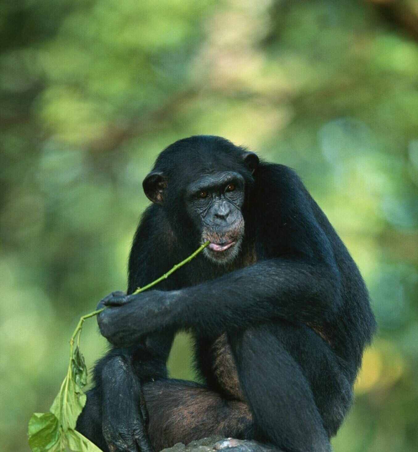 Getty Images ROO QYGt0YI Unsplash