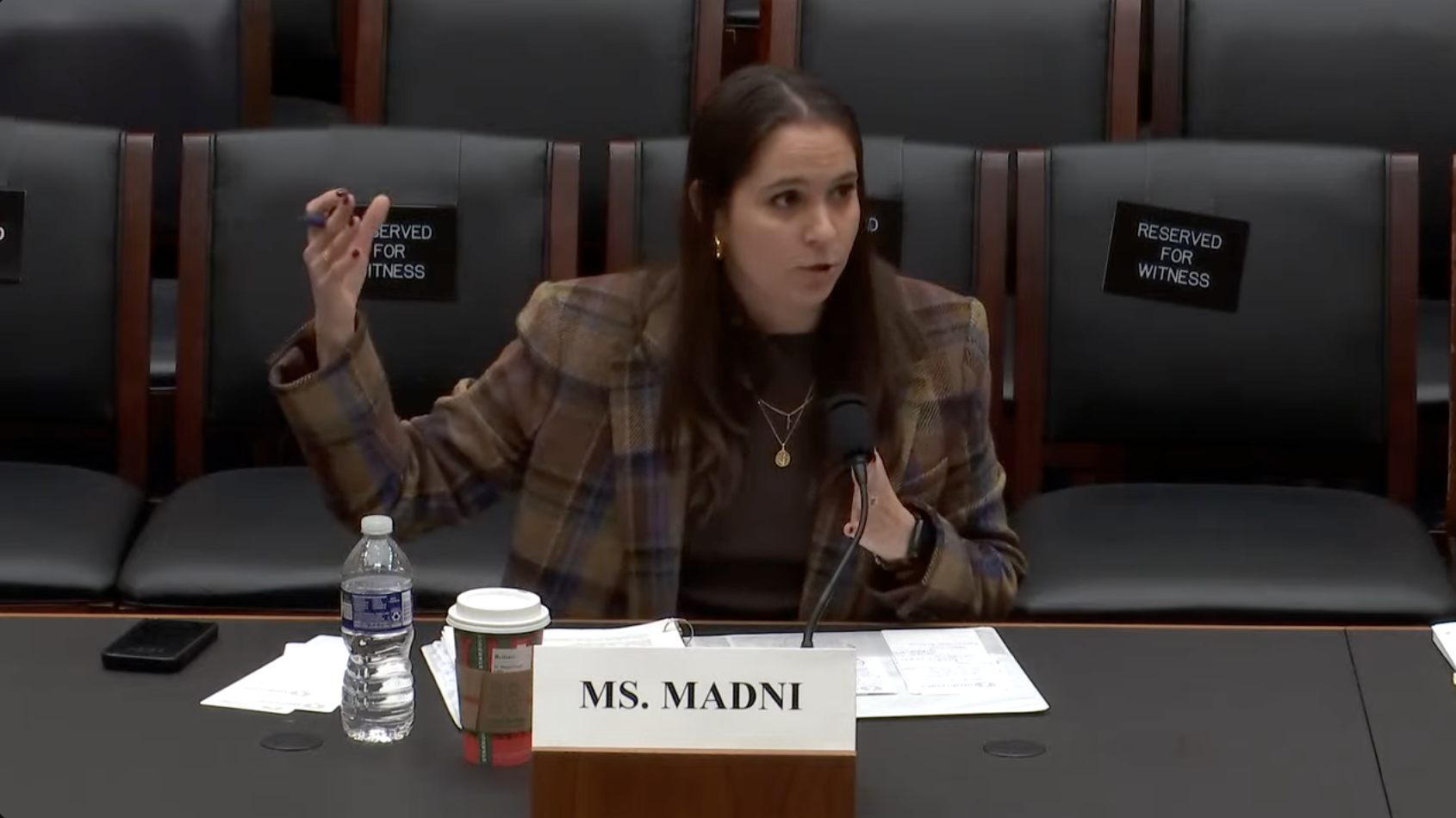 BAM Judiciary Testimony Screenshot